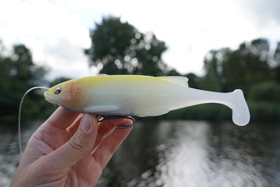 Hispano Lures Polaris 167