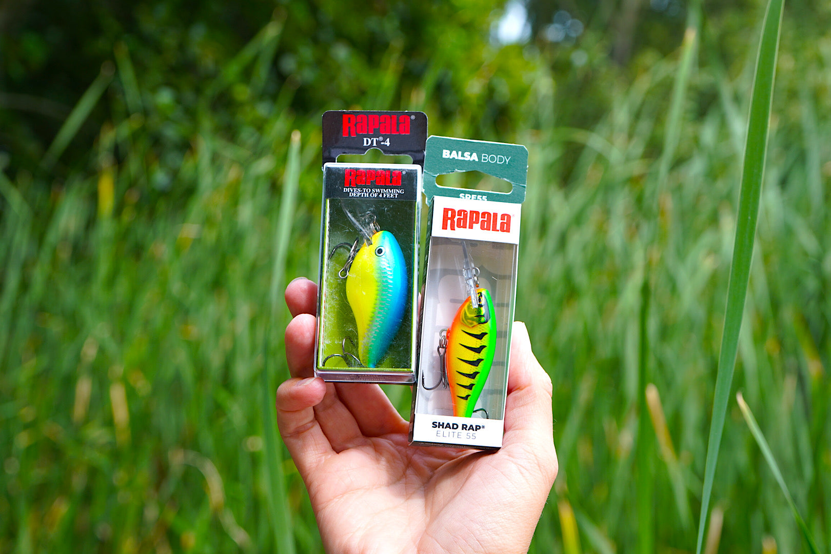 Rapala Shad Rap Elite 55