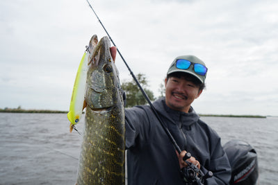 BlueBlue Snecon 150S