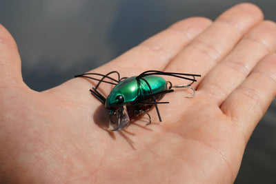 Jackall Chubby Bug 35