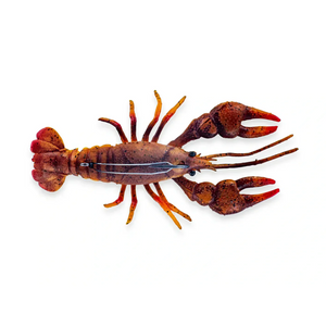Craws & Creature Baits