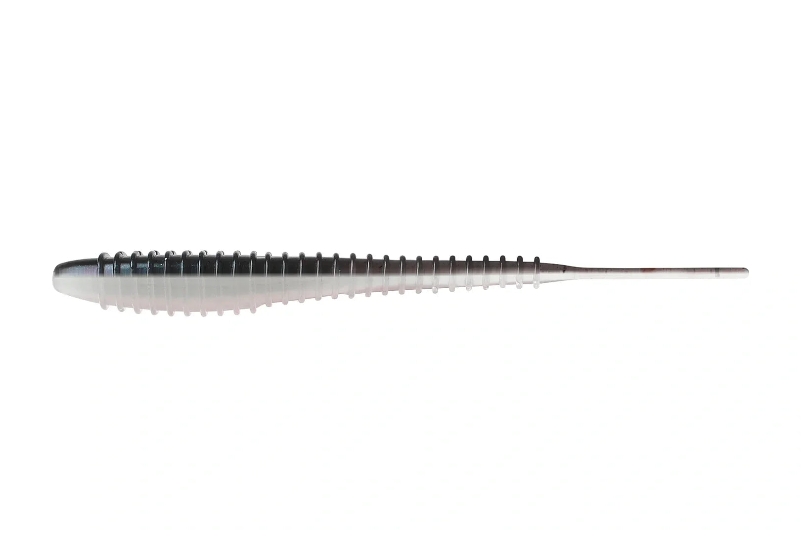 worm