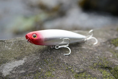 Rapala Precision Xtreme Pencil Saltwater