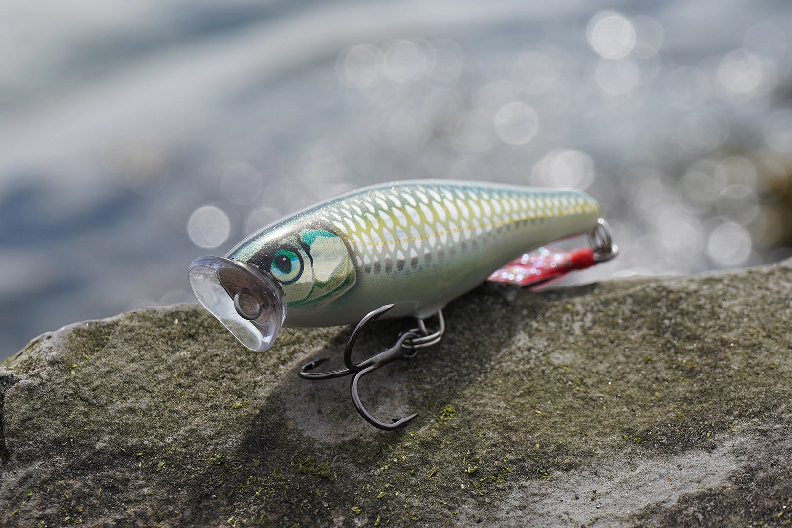 Rapala Skitter Pop 7 cm