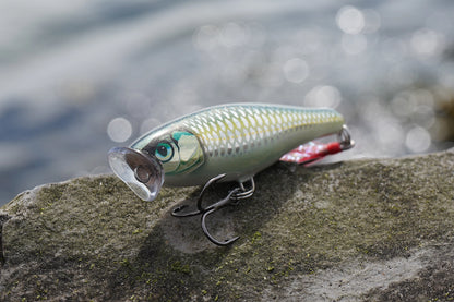 Rapala Skitter Pop 7 cm