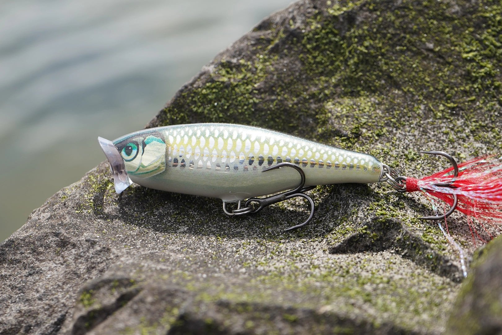 Rapala Skitter Pop 7 cm