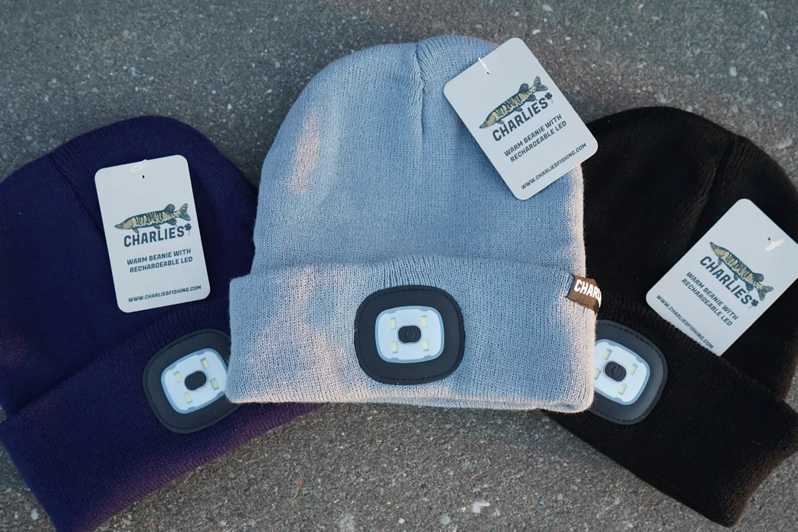 Charlie's Beanie with LED