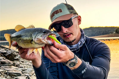 Rapala Crushcity Ned's BLT