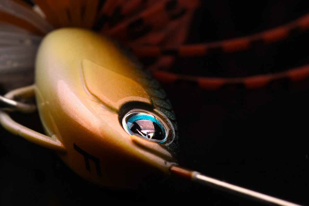 Spinnerbait close-up showing the eye and head of the lure