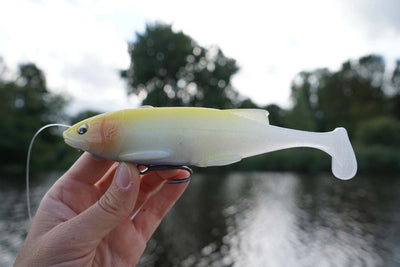 Hispano Lures Polaris 147 floating paddle tail soft swimbait for freshwater predators