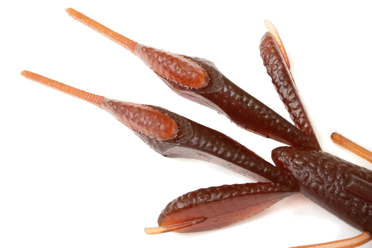 Kaesu Lop Hog claws detail, salted craw