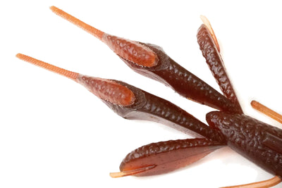 Kaesu Lop Hog claws detail, salted craw
