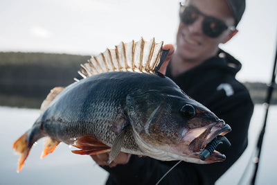 Rapala Crushcity Ned's BLT