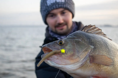 Rapala Crushcity Ned's BLT