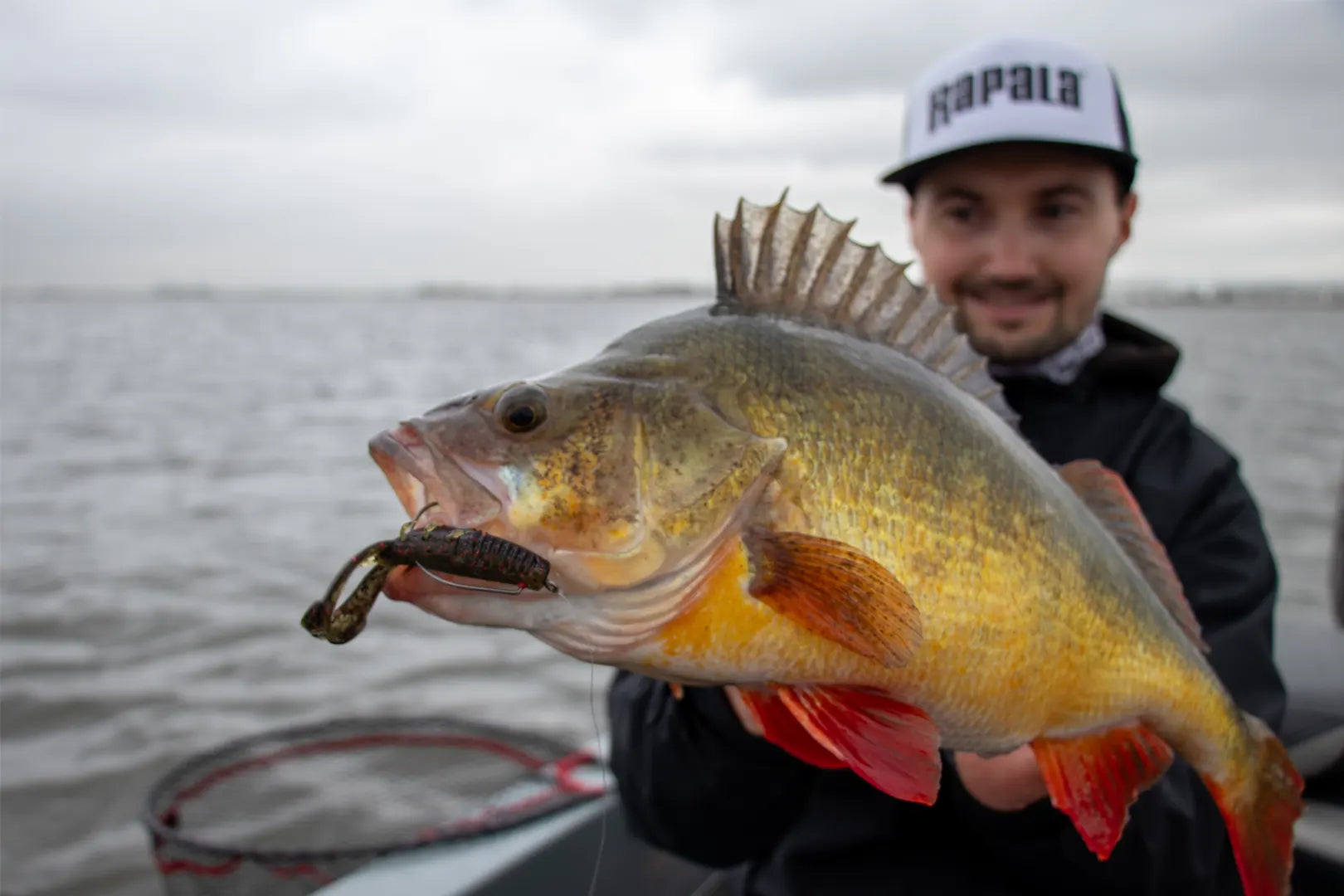 Rapala Crushcity Cleanup Craw
