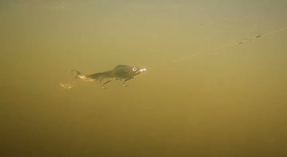 Everbait 3 Tail