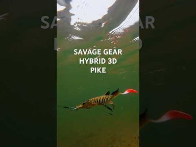 Savage Gear 3D Hybrid Pike 17 cm