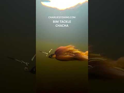 Video laden: BIM Tackle ChaCha Bait