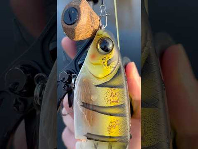 SPRO KGB Chad Shad 180