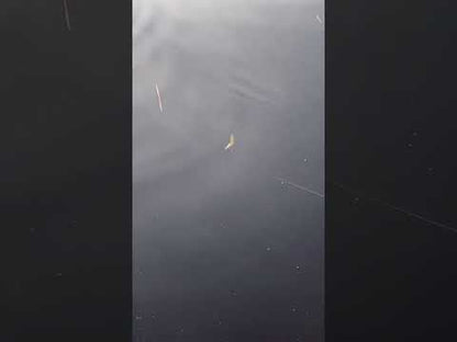 Swimbait Republic Glideway 126