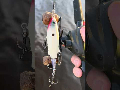 Rapala Claptail 110