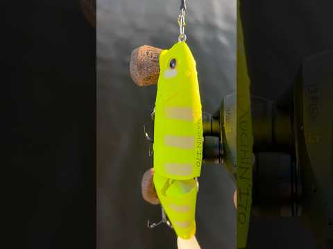 Video laden: Luxxe Laughin 170