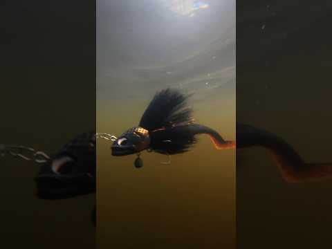 Ladda video: BIM Tackle VV Cruiser