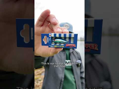 BlueBlue Zepper 40F | Floating Crankbait 4 cm – Charlie's Fishing