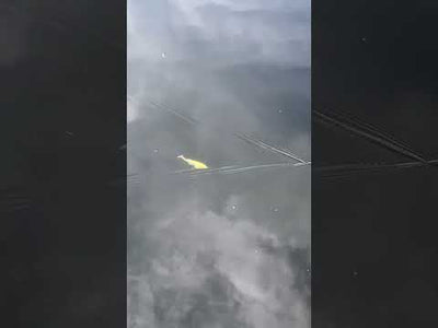 Hispano Lures Polaris 167