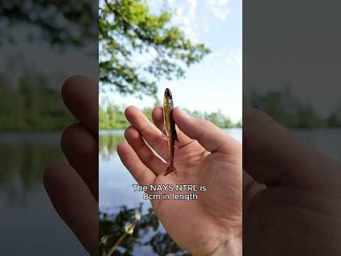 Load video: Nays NTRL 35