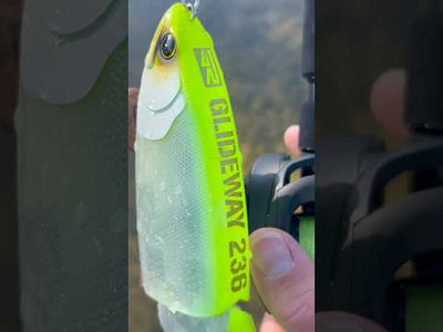 Swimbait Republic Glideway 236