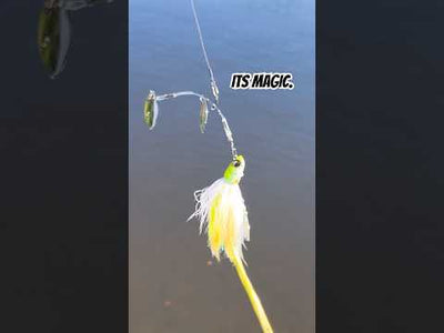 Spinnerbait Charlie's Fishing