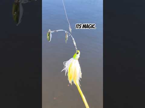 Charger la vidéo: Savage Gear Mono Spinnerbait