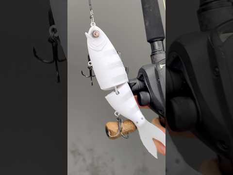 Load video: Luxxe Laughin 170