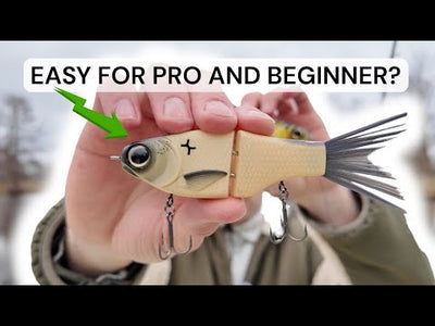 best fishing shad lure for catfish SPRO KGB Chad Shad 180