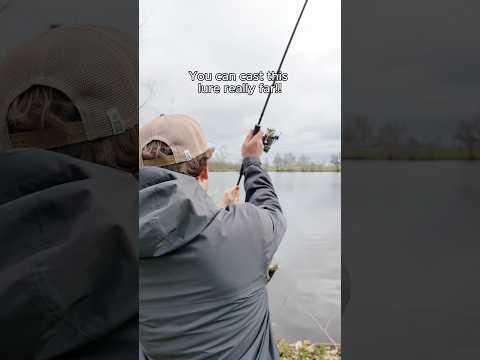 Load video: BlueBlue Shalldus 20