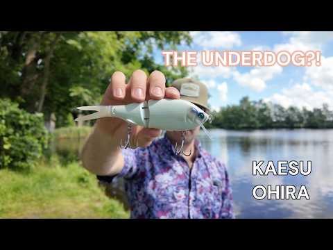Load video: Kaesu OHIRA