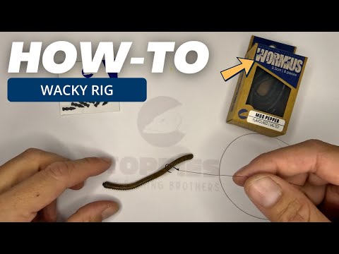 Load video: Toppies Wormius