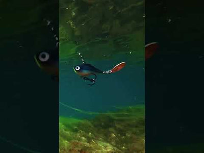Rapala Rippin' Spin video