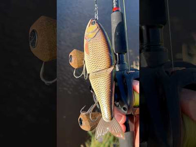 Swimbait Republic Glideway 176