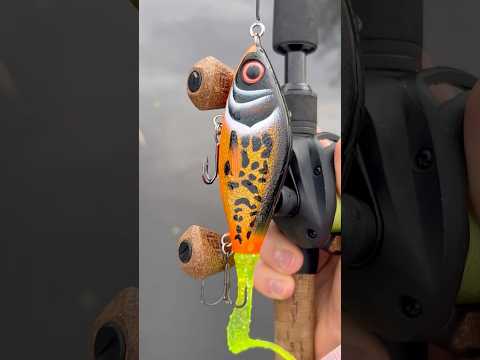 Strike Pro Guppie Junior