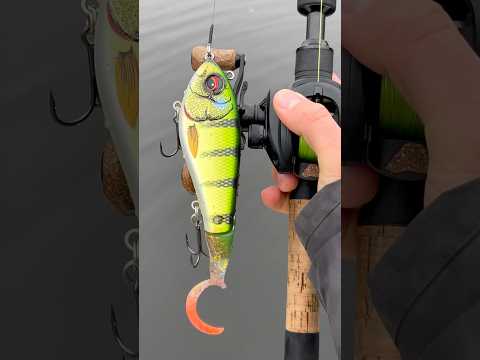 Savage Gear Deviator Tail 20 cm | Best hardbaits for pike fishing