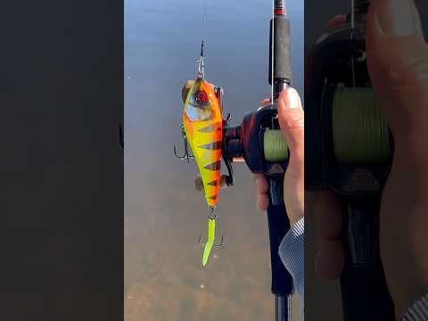 Load video: Savage Gear Deviator Swim