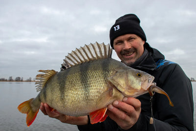 Rapala Crushcity The Stingman