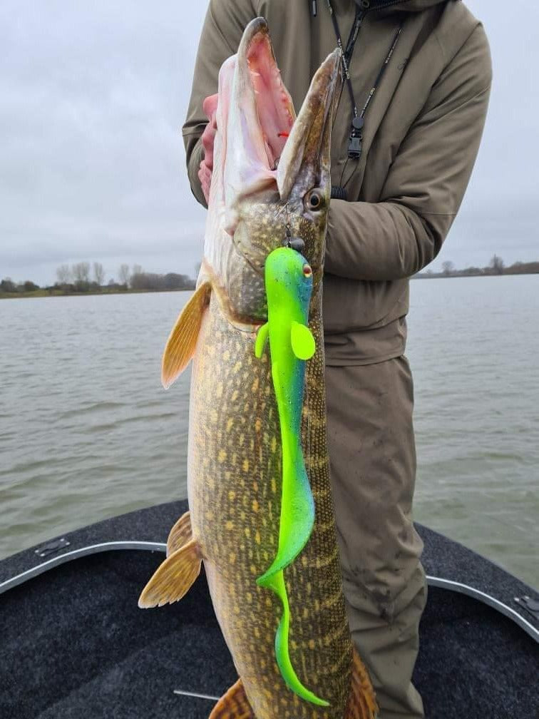 Revolution Tackle 