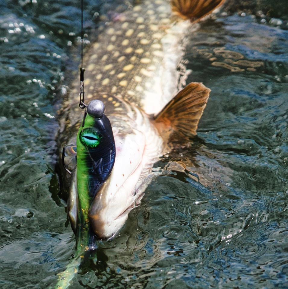 Revolution Tackle Dagshad 