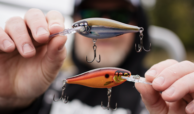 Rapala Shad Rap Elite 55