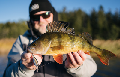 Rapala Shad Rap Elite 55