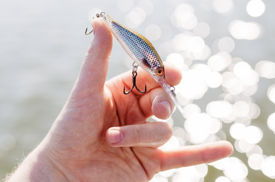 Rapala Shadow Rap Jack Deep