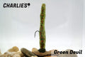 Charlie's Wicked Worm